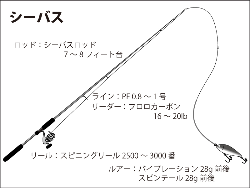 タックル エル クルーズ